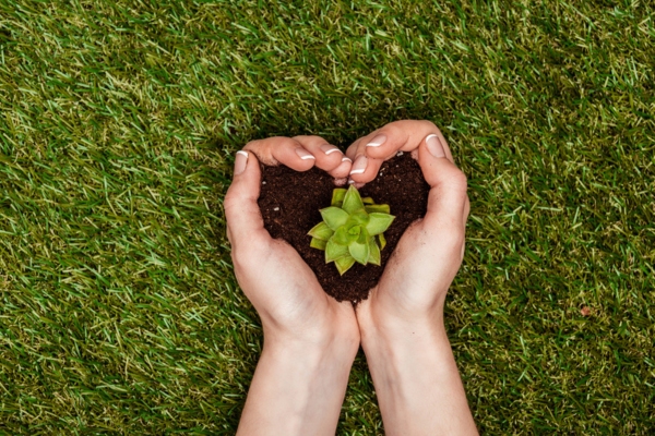 image of a woman's hand with heart-shaped soil with succulent depicting environmental impact of heating systems