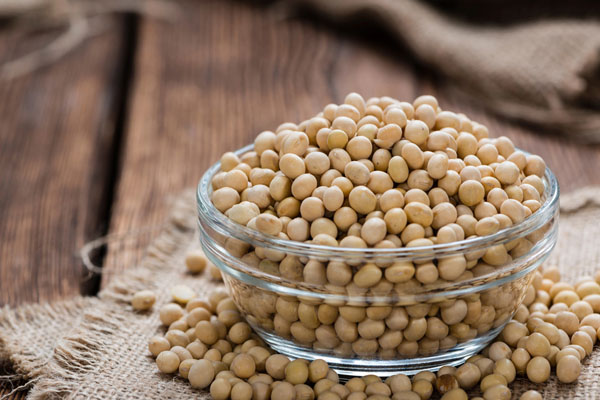 soy beans used for Bioheat® heating oil